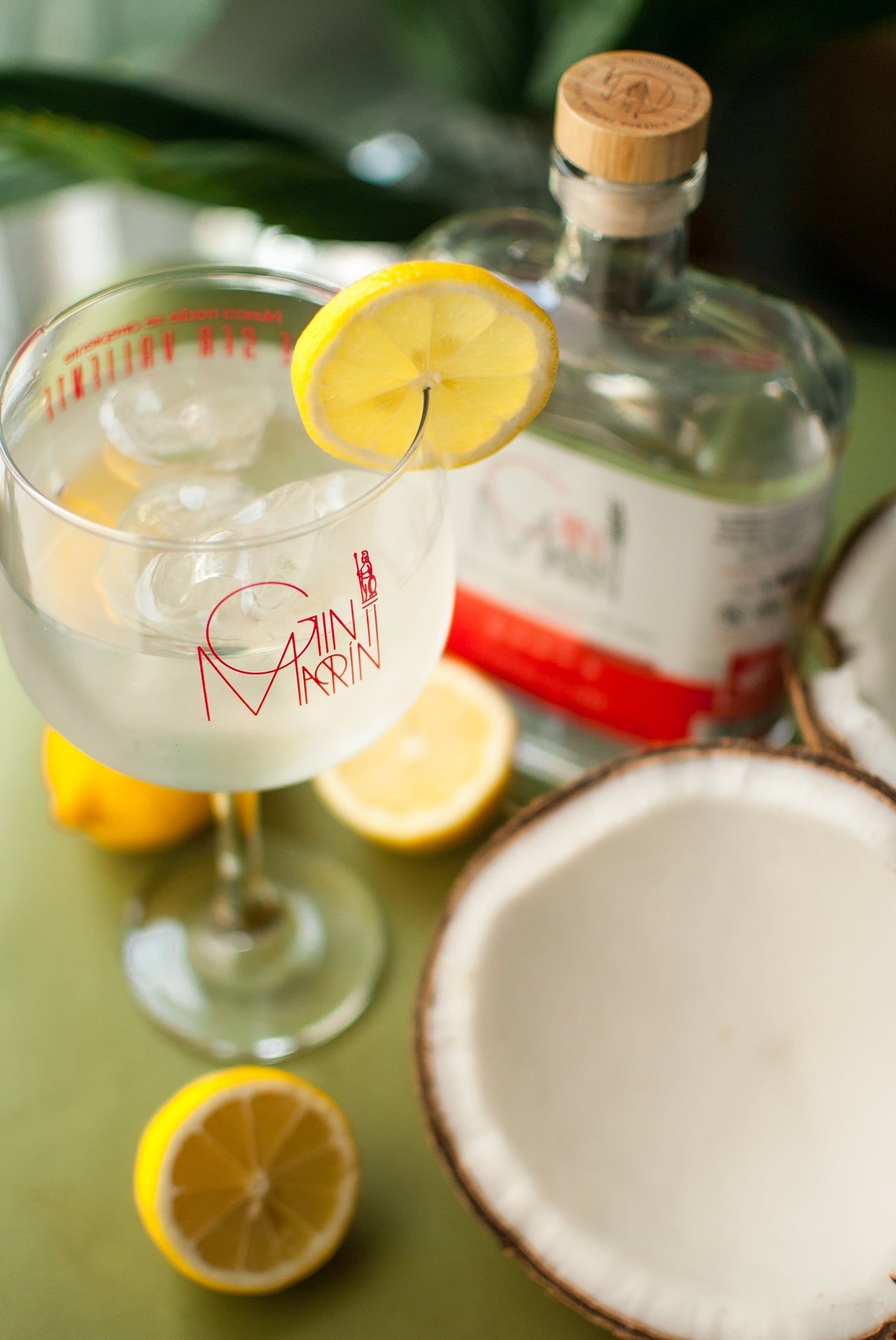 DESCUENTO ESPECIAL Caja 12 Botellas Ginebra GINMARÍN